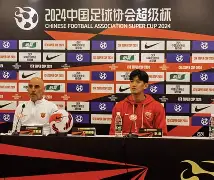 开云体育平台入口-葡萄牙孔塞桑个人简历